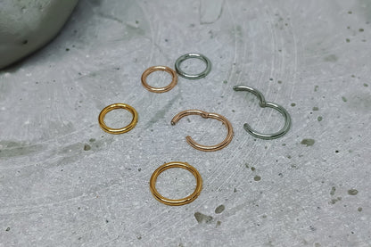 20G Tiny Huggie Hoop Clicker Ring,Nose Cartilage Daith Helix Tragus Septum ,Seamless Hinged Segment Ring,6mm 7mm 8mm 10mm 12mm 316L Steel